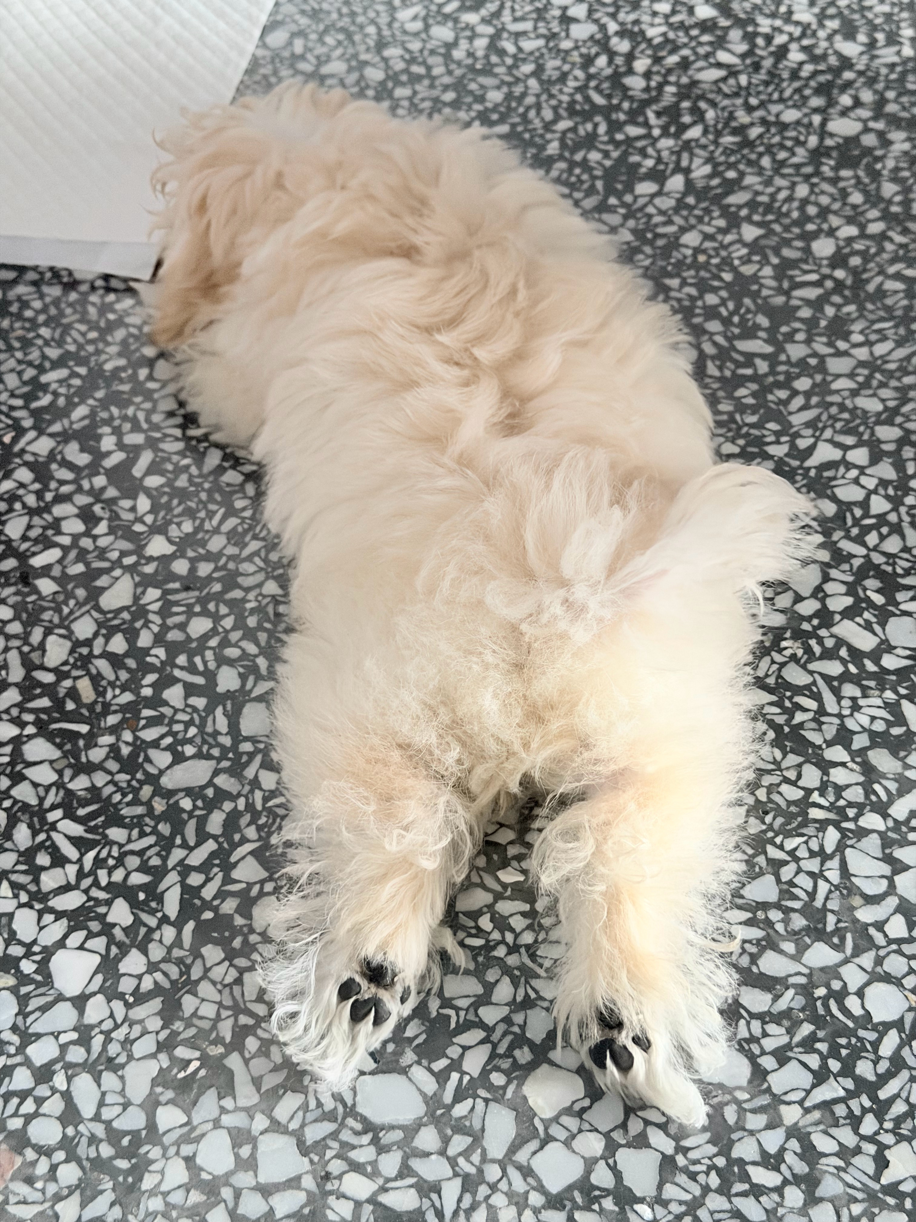 萌的呀 ​​​