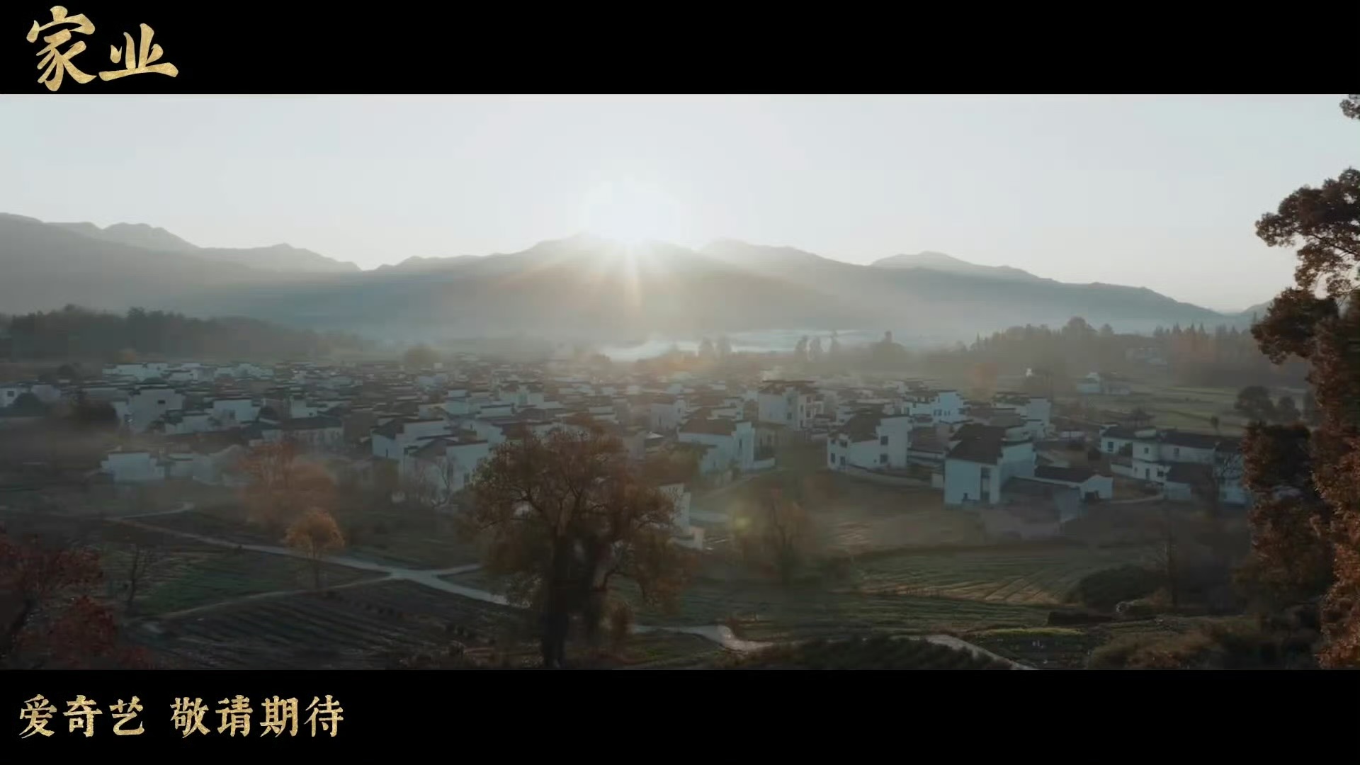 这个原声台词和情绪爆发 杨紫的剧从预告就让人安心😌家业破茧片花