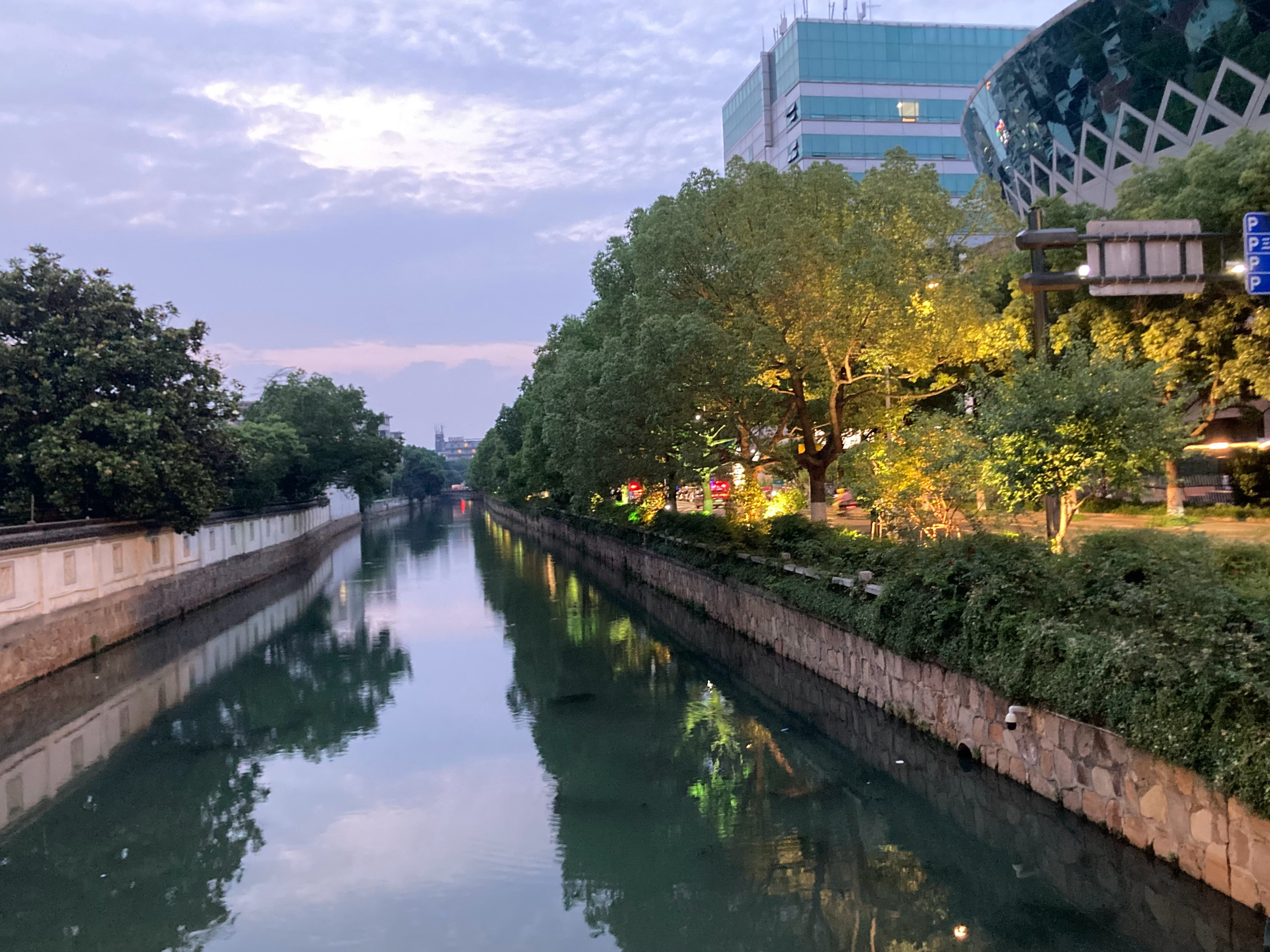 雨过天晴🌳 