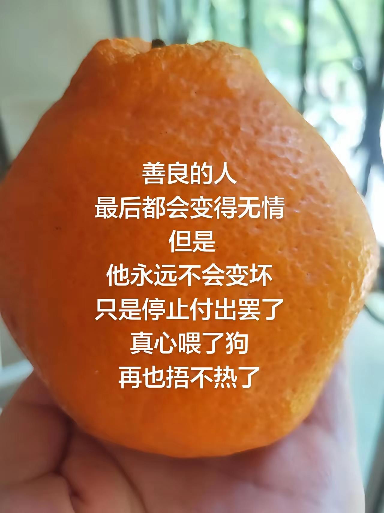 为了孩子将就自己，这事儿太常见了。中国式妈妈就是这样，逛商场时，孩子要玩具零食，