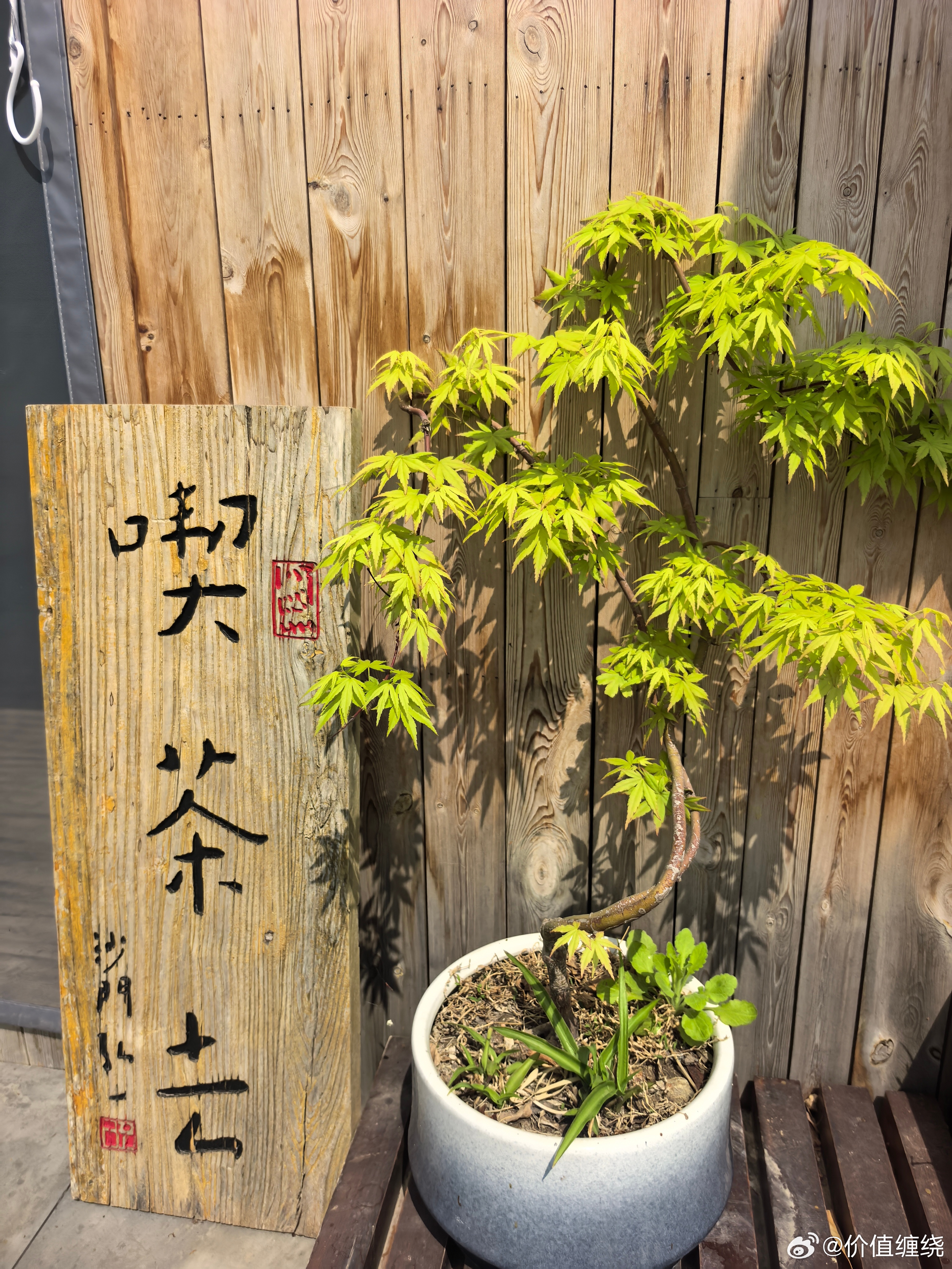 诗与远方，这里是灵气复苏之地，烟雨天能看到山里的气窝，对修行人会产生很圆融的磁化