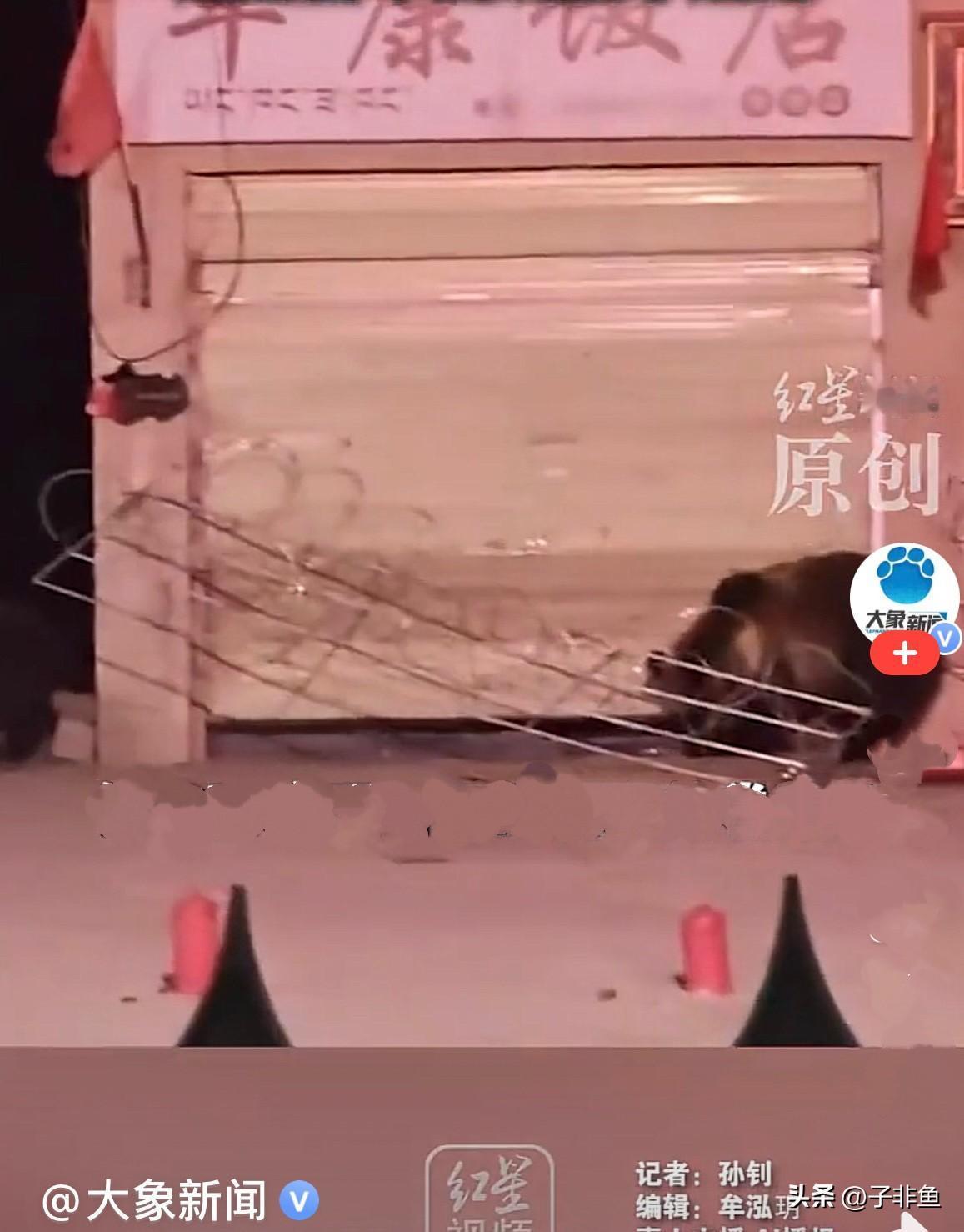 大年初一，从西藏回到甘肃的李先生正在和家人团聚过年，过年的李先生闲来无事刷手机的