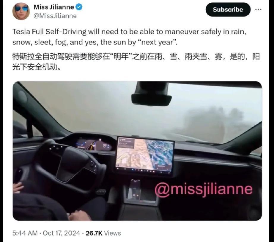 马斯克智驾被外国车主骂惨了，原来是因为遇到烟雾雨天太阳光下，会时不时导致开不了智