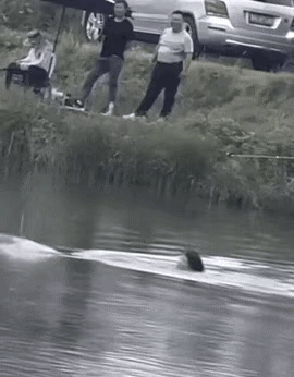 全体钓鱼人起立致敬。