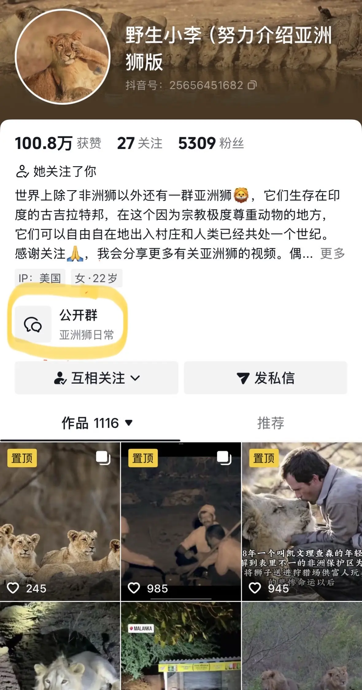 加粉丝群的方法。宝子们欢迎进群🤗🥰❤️ 群为亚洲狮爱好者公益交流群...