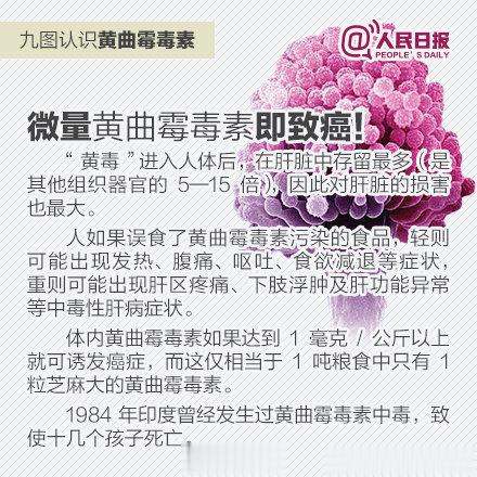 【#身边的超级致癌物 黄曲霉菌#】黄曲霉毒素被世界卫生组织划定为1类致癌物。这些