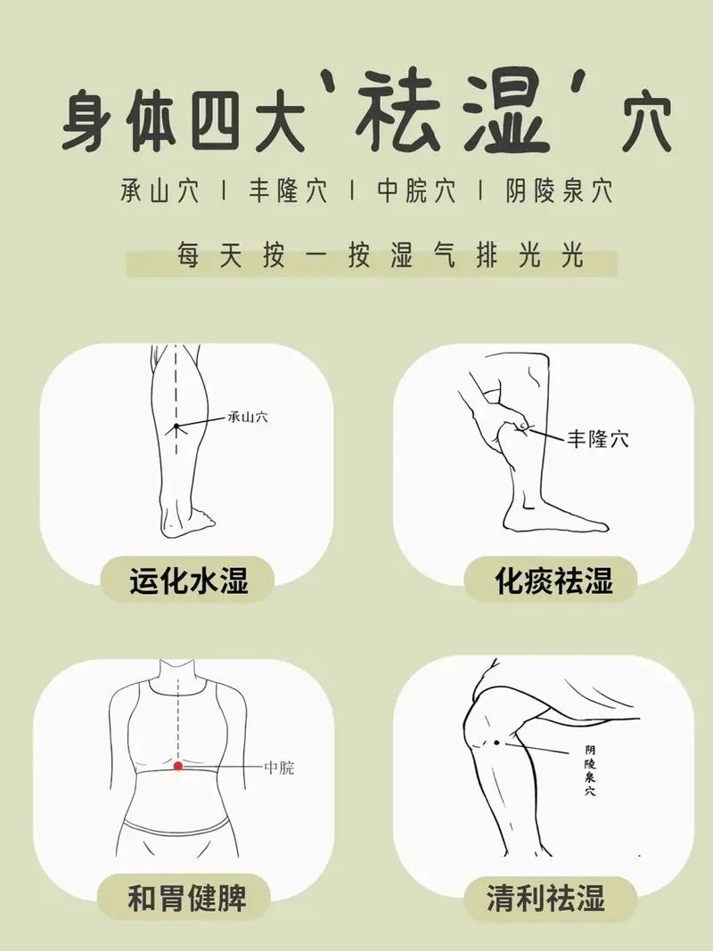 #逼出体内湿气的方法#俗话说,"千寒易去,一湿难除",在我们的身体里,"湿"是一