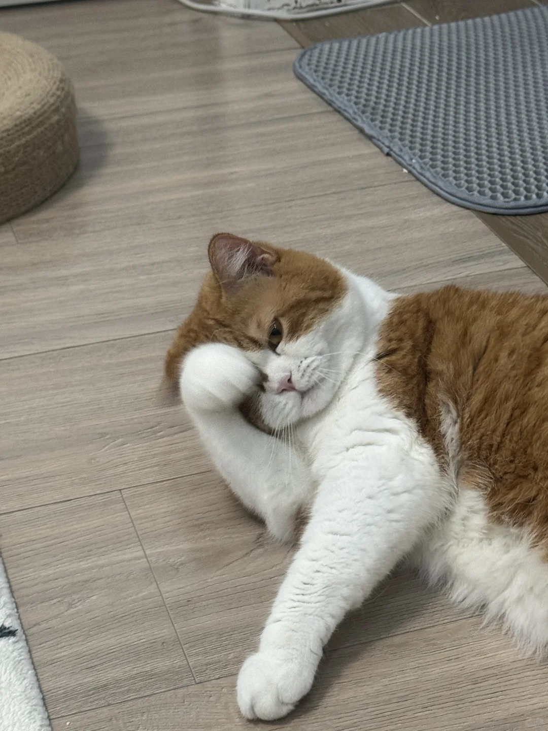 丫头 你有没有被我迷倒