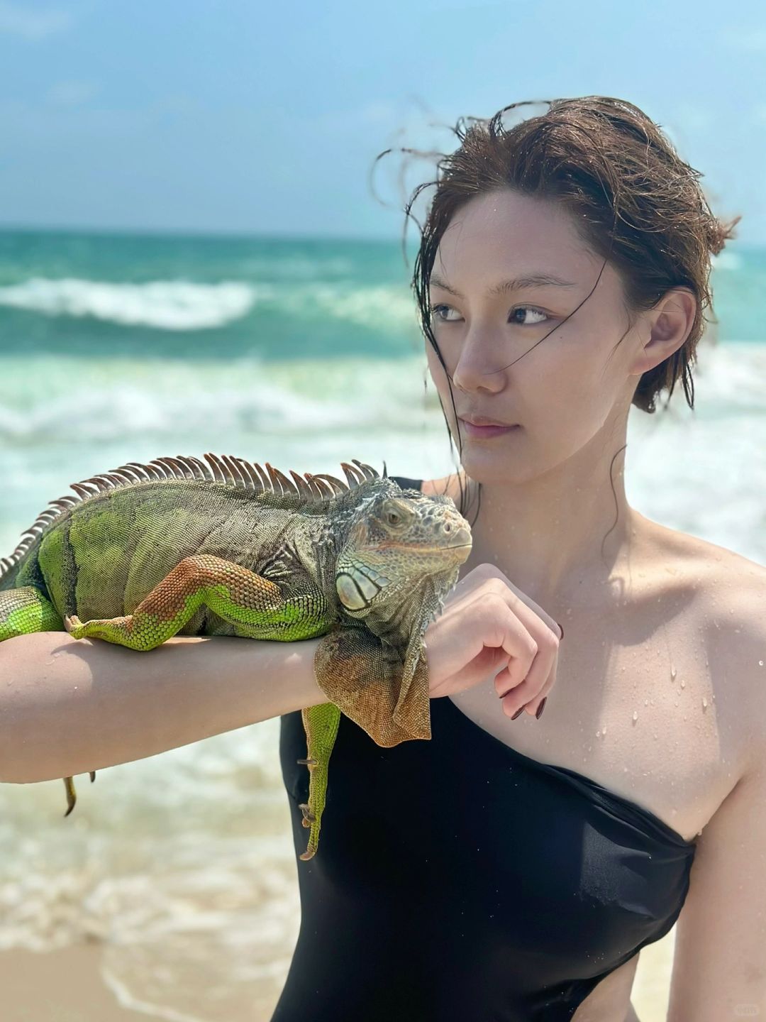 胆子很大一女的