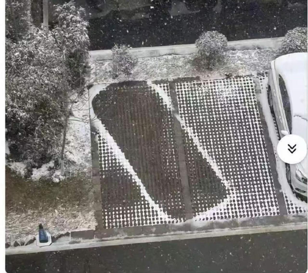 猜猜这是什么车。猜车 厉害了我的车