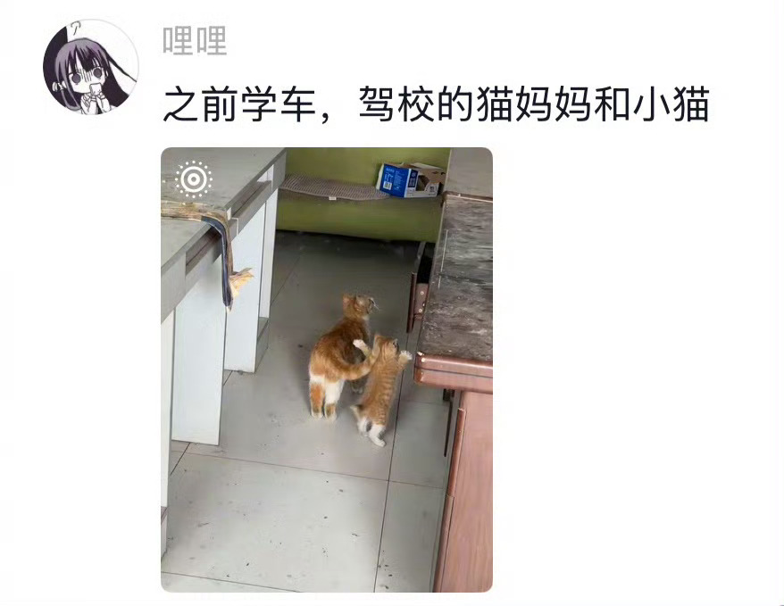 王菊一念江南古装路透为了你眼神里的崇拜
