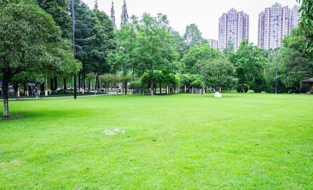 兰州市的十大公园，各有千色，但哪个才是你心中的最爱呢？这可真是个让人头疼的选择题
