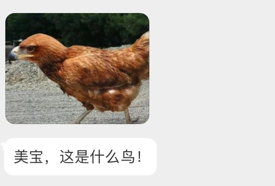 ？？？ ​​​