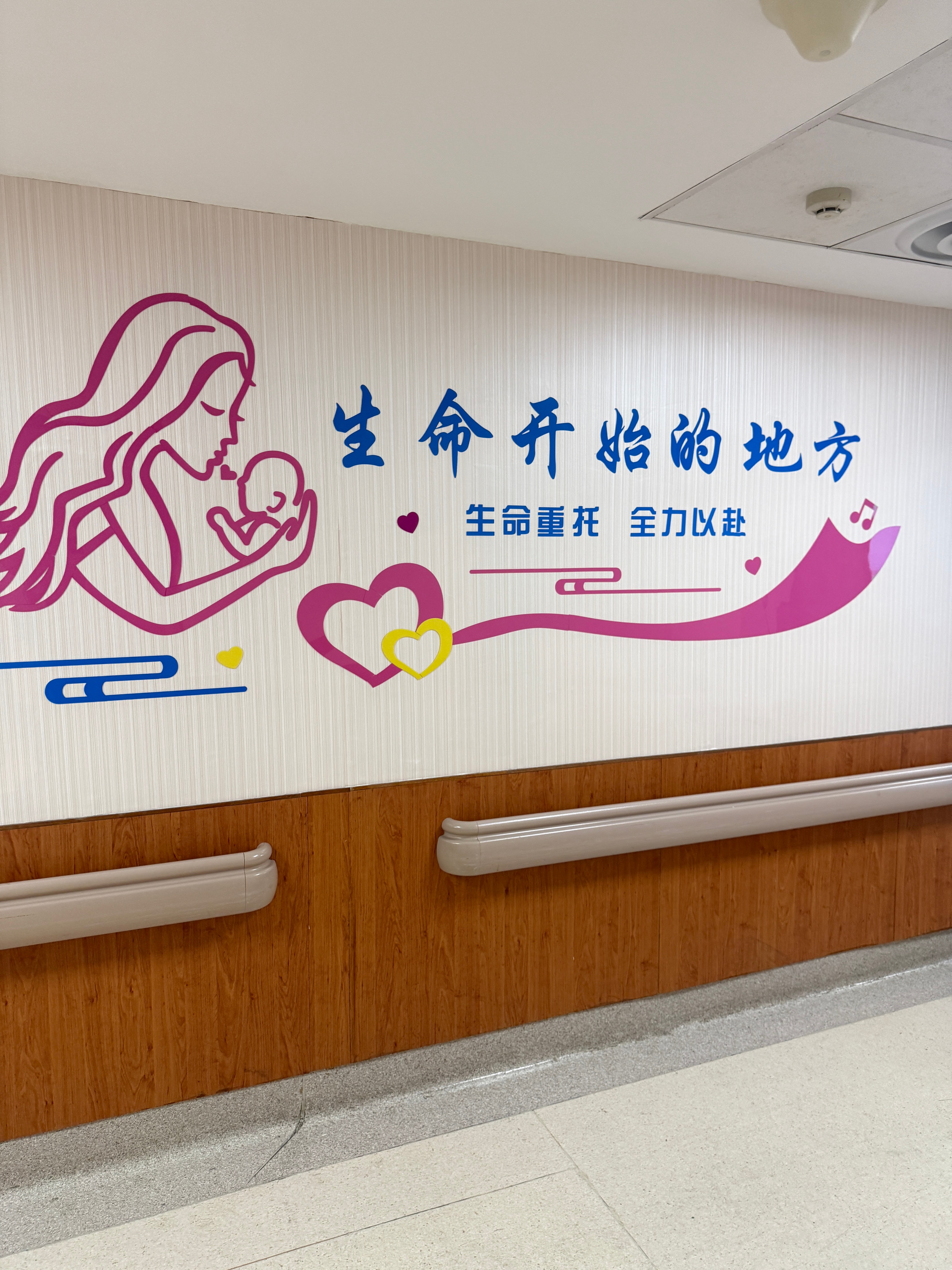 来了，突然启动，有点意外，我已经期待你的到来啦