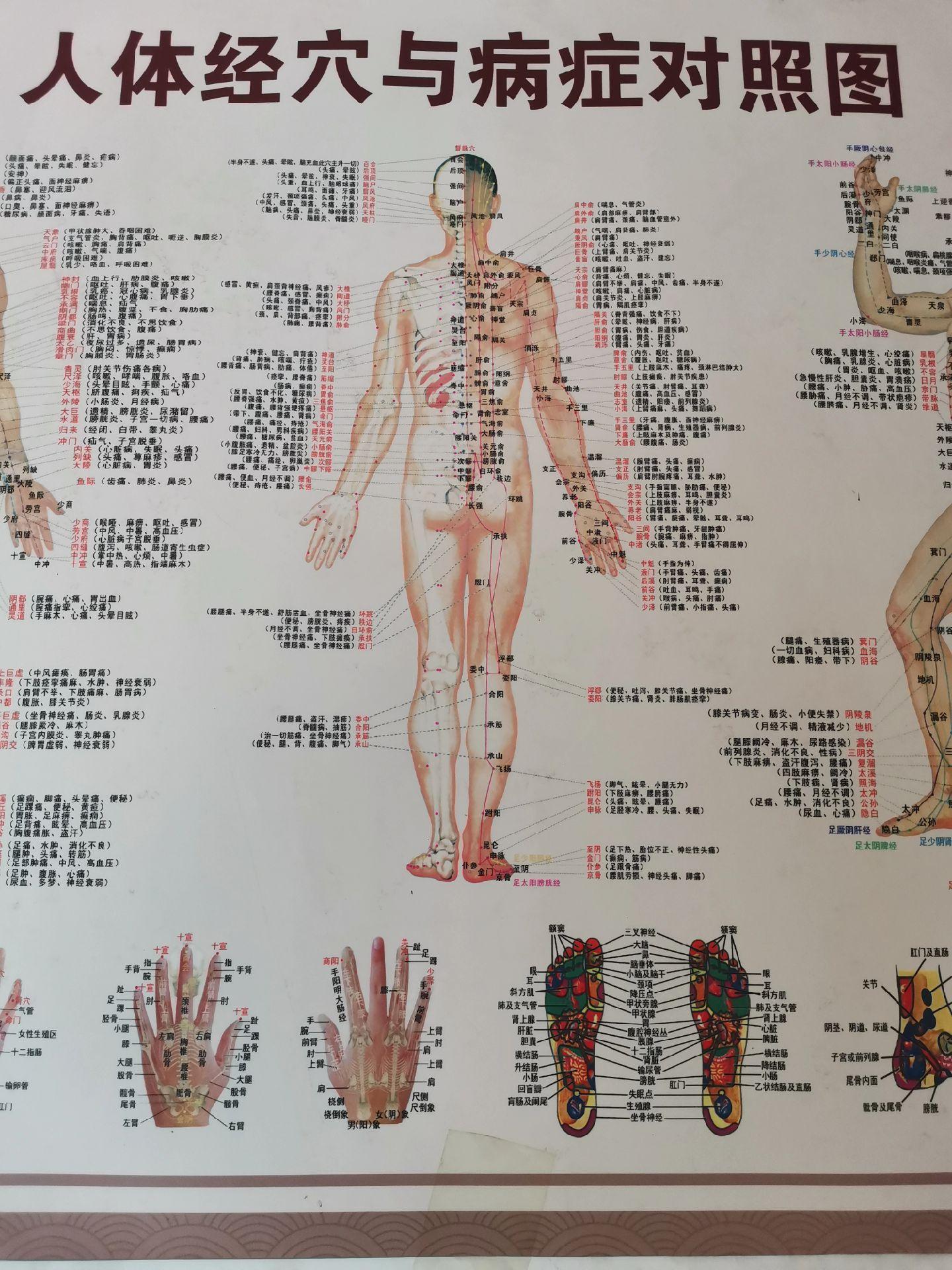 人体经络与疾病对症图！