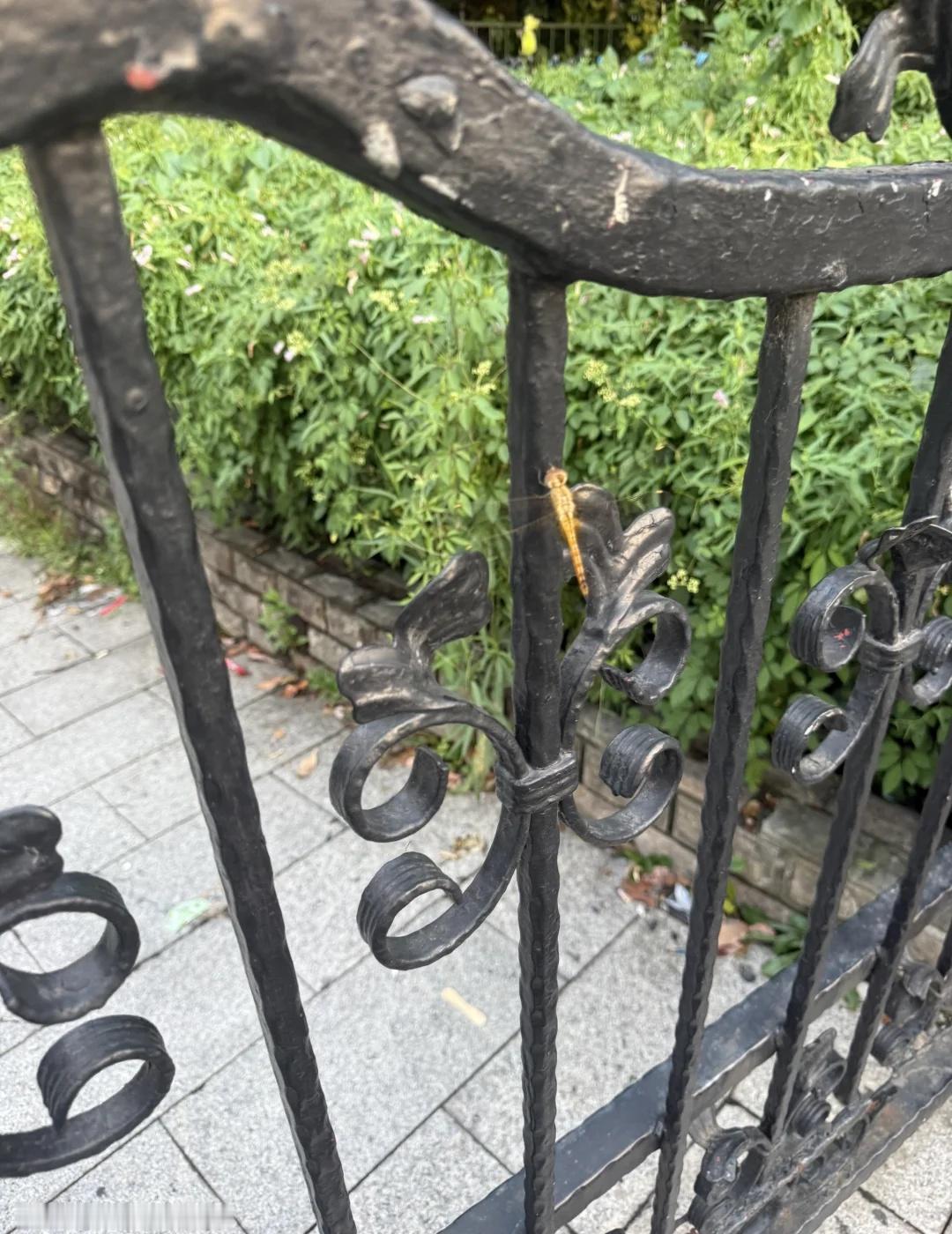 为什么连癌症患者捐款都有产业链呢
那个博主的情况是否如实我还在观望，虽然没有给她