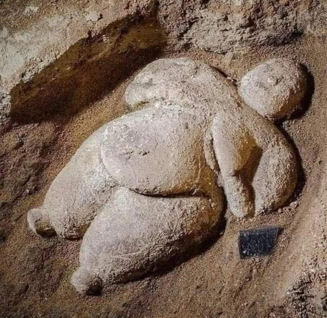 斯坦福大学的考古学家在土耳其中部发现了有 8000 年历史的“女神雕像...