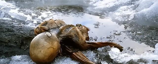 1991年，一对夫妻攀登3000米的阿尔卑斯山时，发现了一个趴在雪中的冰人。他右