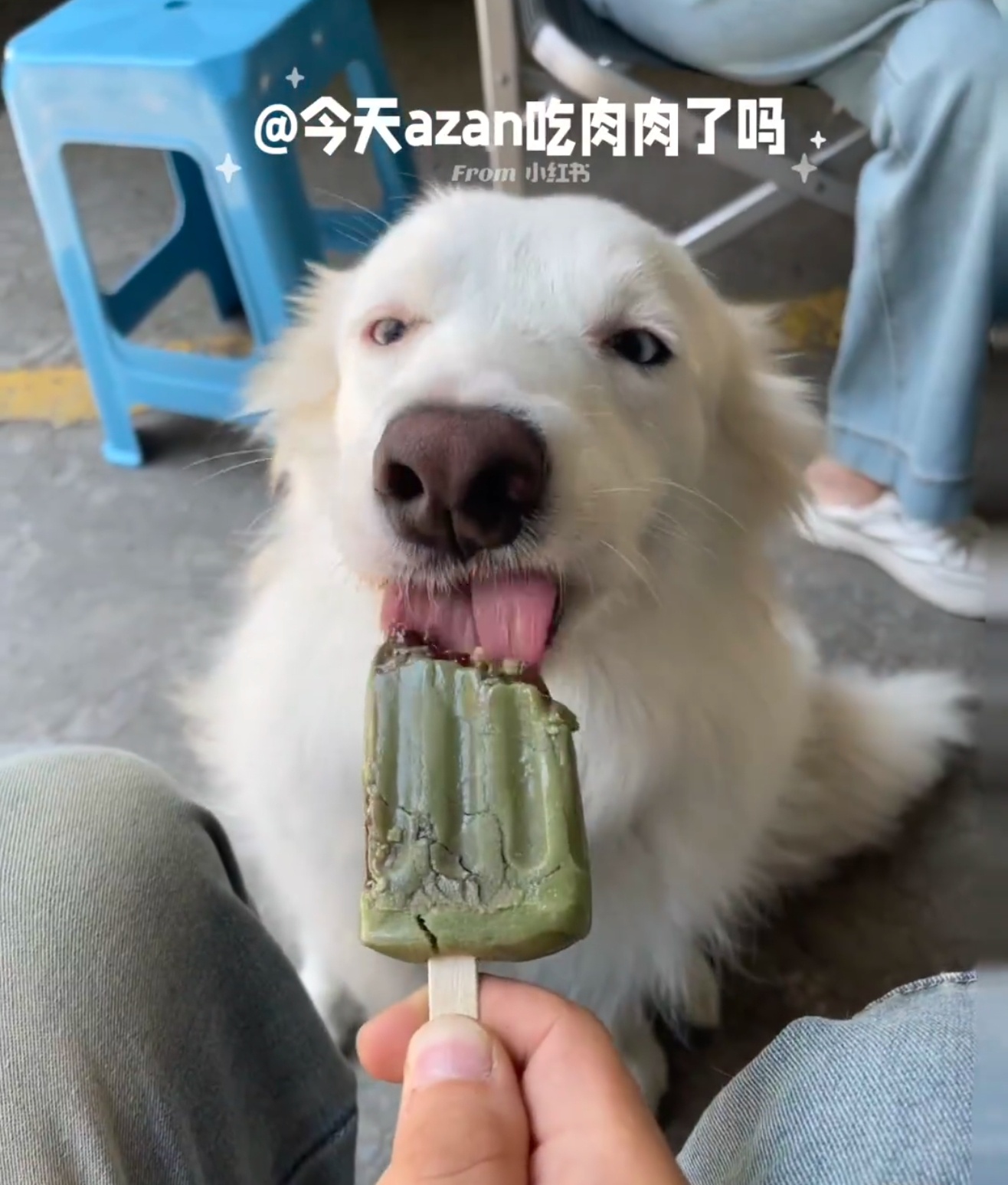 好热好热🥵我也想吃雪糕了 