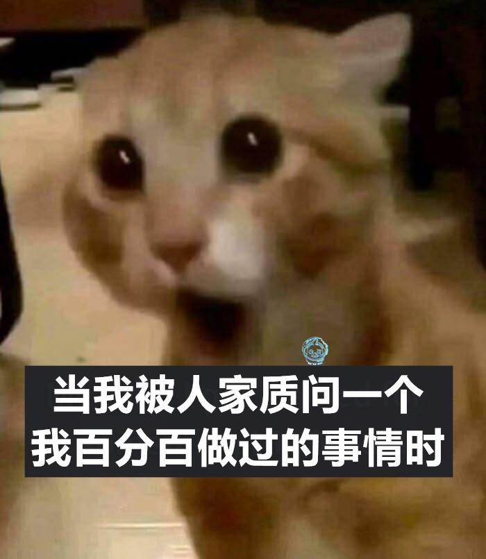 就说没（9gag）今日meme今日memes
