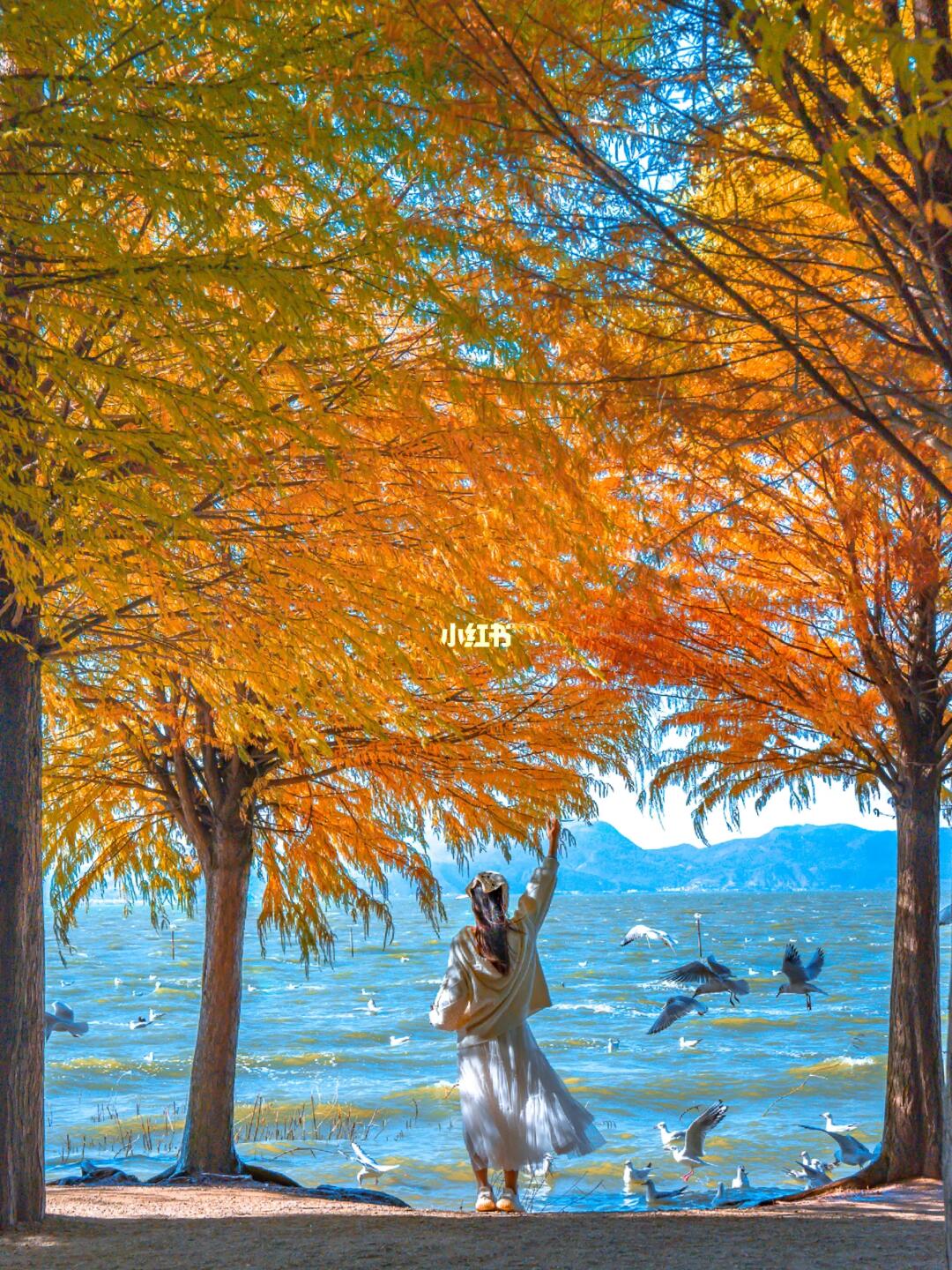 如果错过昆明这几个地方，该有多遗憾啊！