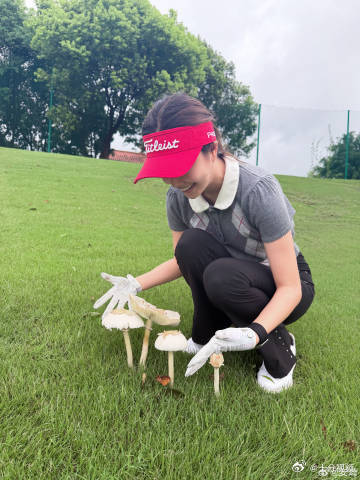 安崎采蘑菇的小姑娘安崎晒高尔夫球场的蘑菇一场雨后，高尔夫球场长出了小蘑菇，安崎练