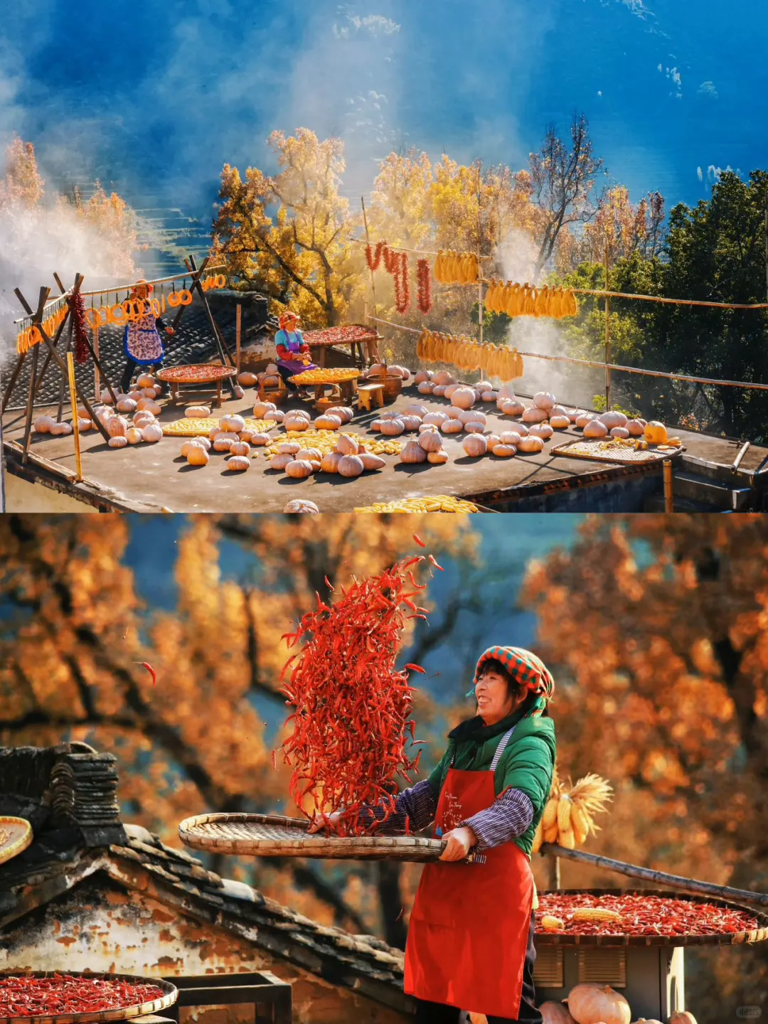 带娃到篁岭寻秋，一晒便知秋意浓～