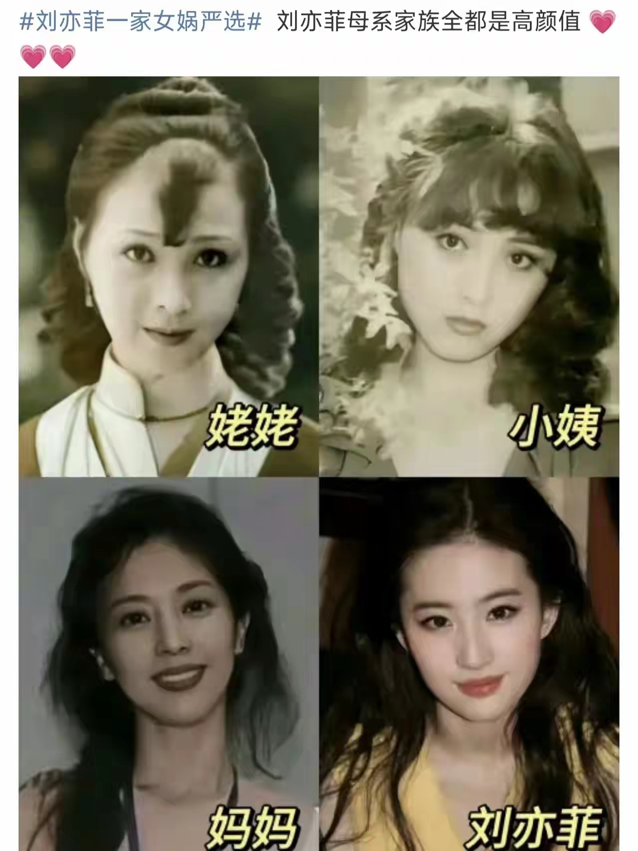 刘亦菲一家严选，全家都是高颜值 ​​​