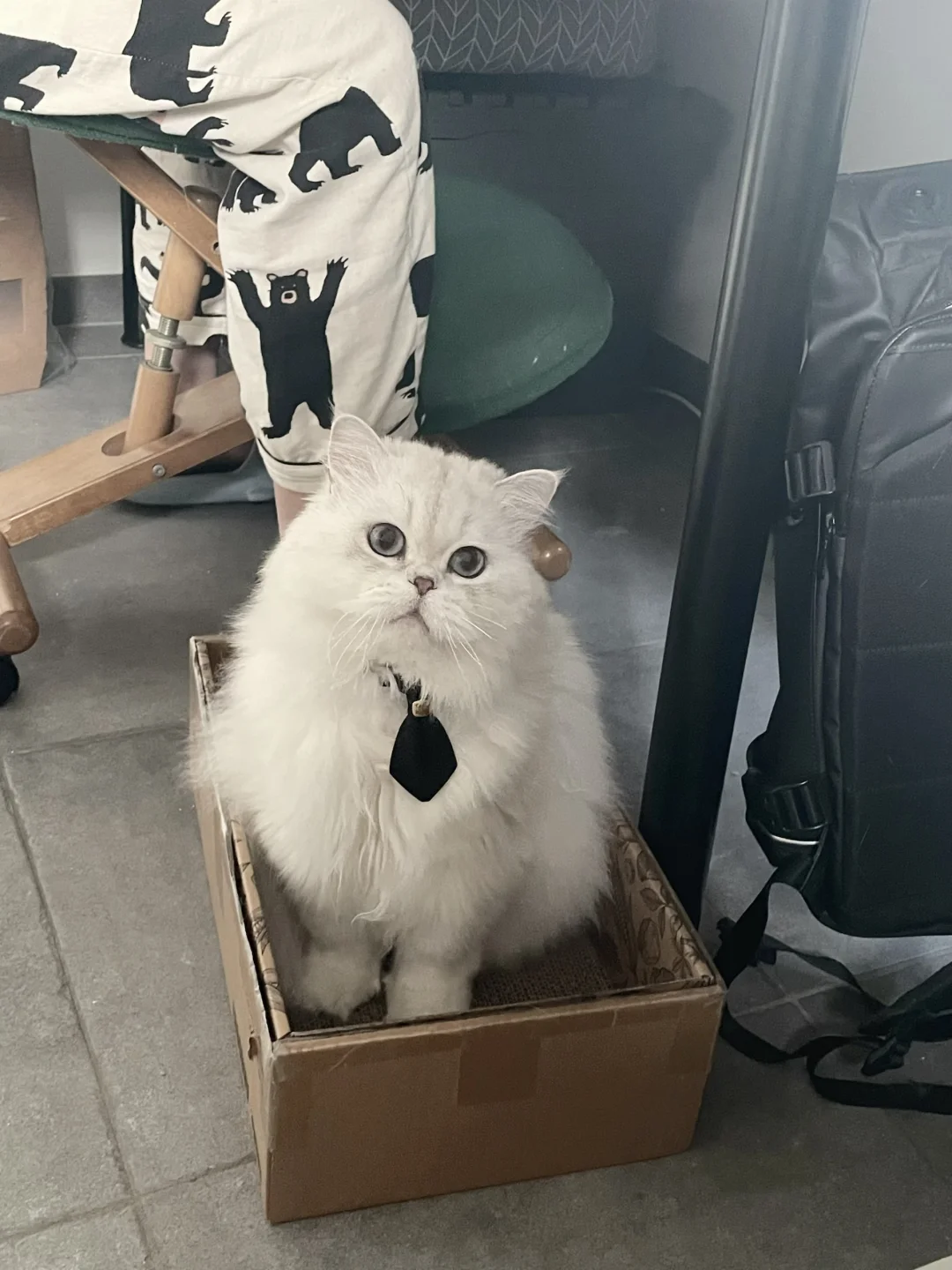 糯糯ber
