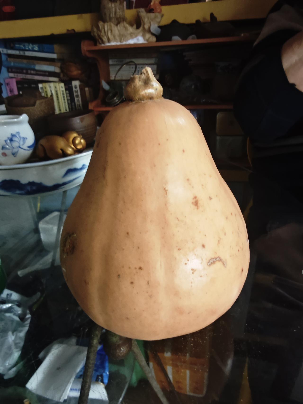 老朋友店里的“老古董”，
摸起来像硬化了的石头一样。
一个南瓜，一个橘子。
他说