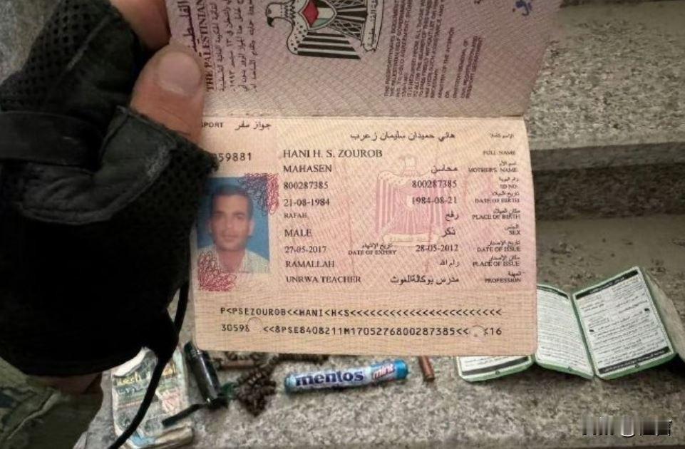 已死亡的辛瓦尔的保镖的证件是联合国近东工程处（根植于加沙的组织）签发的。这并不奇
