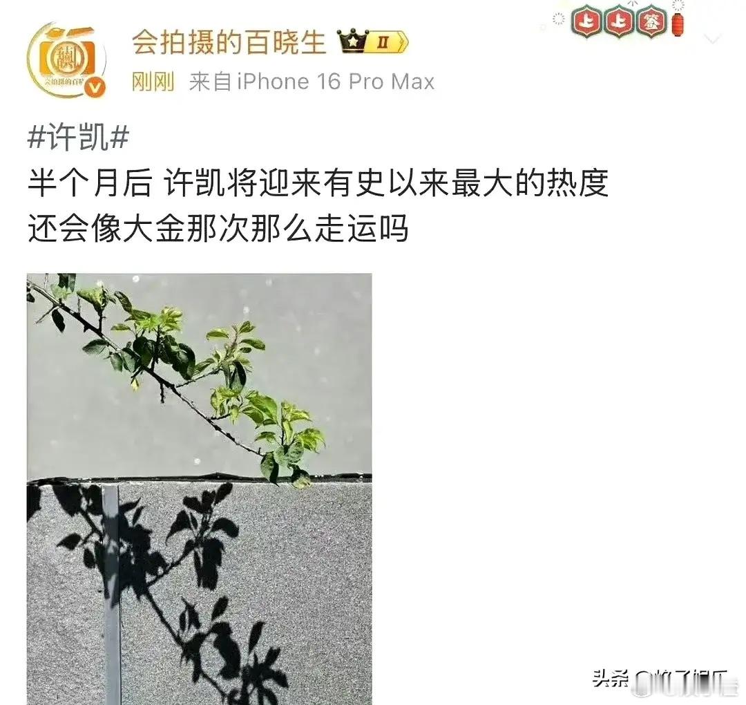狗仔放出消息说许凯半个月后有“大动静”！还翻出多年前许凯前女友大金爆料“打人”的