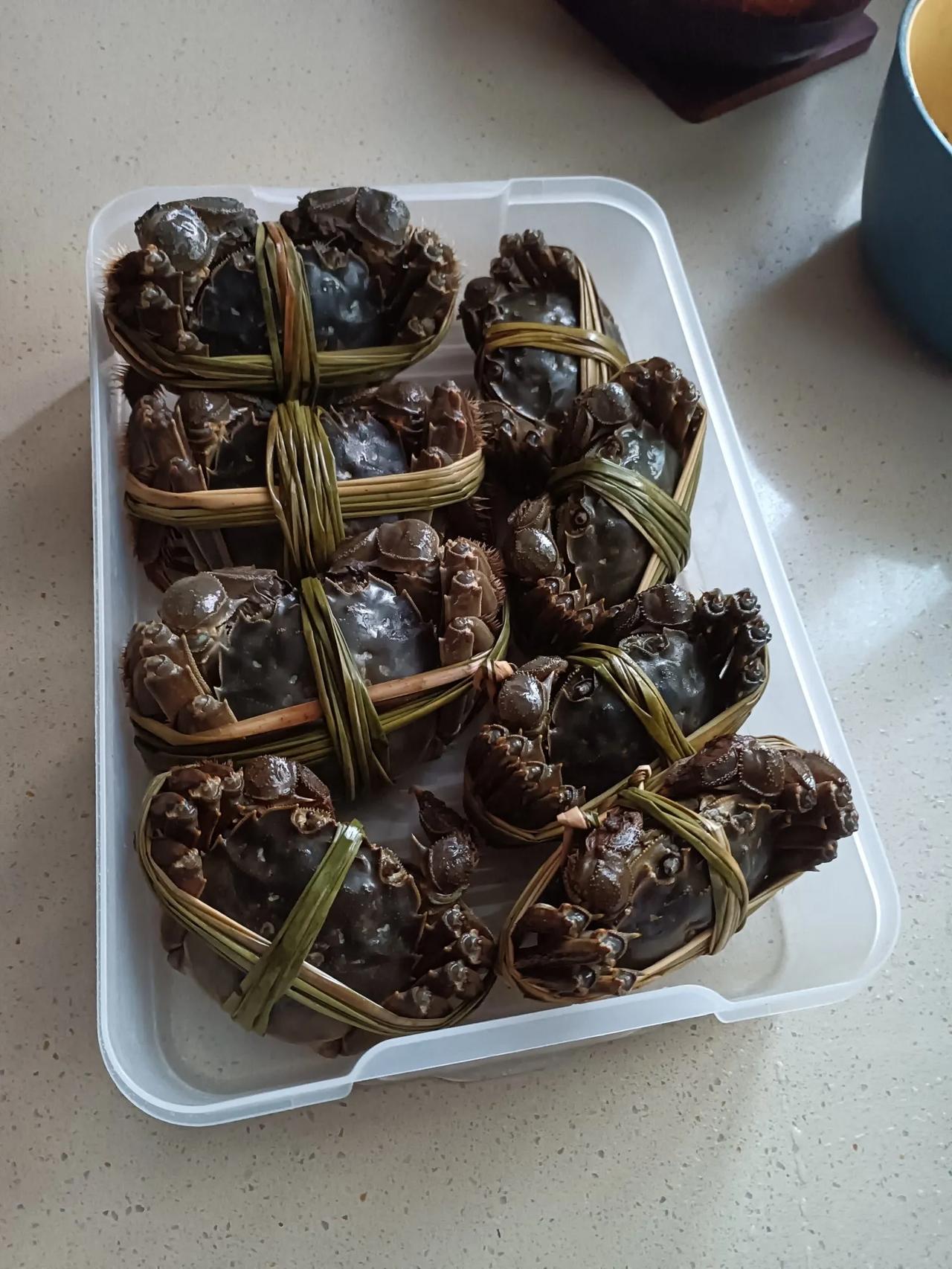 江南苏城一位晚辈寄了一箱大闸蟹过来 ……  12 只，六对（全部用柴草捆扎） …