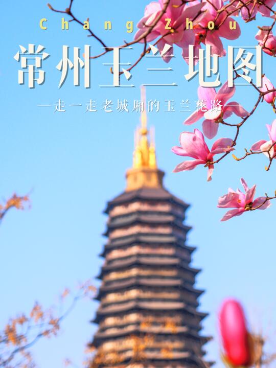 再过半个月，常州将迎来最顶级的春天🌸