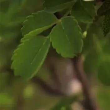 人生一程，风雨难免，不必事事较真，不必苦苦纠缠，淡看得失，静心前行，总有一天，你