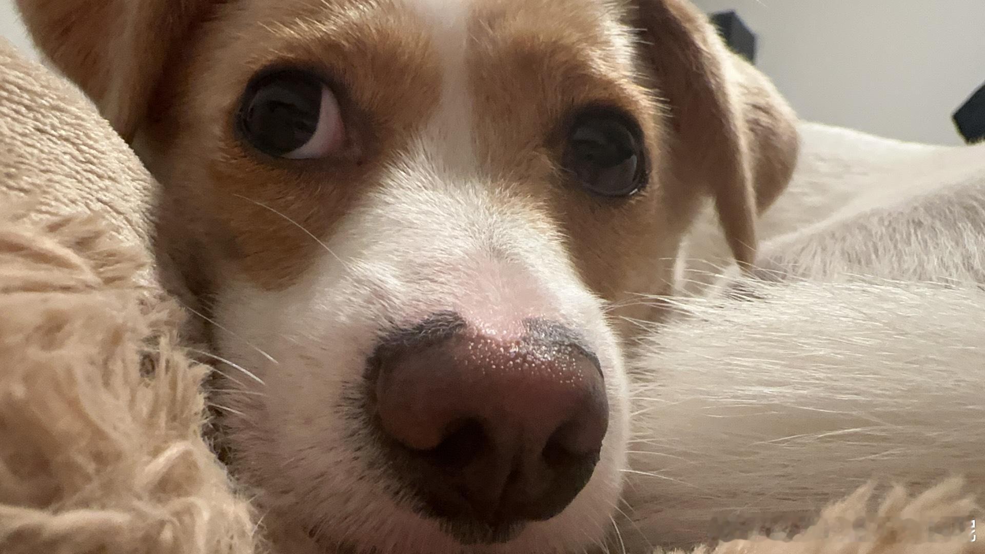 好突然的肠胃炎上吐下泻一天掉2斤此刻还在厕所打字 ​​​