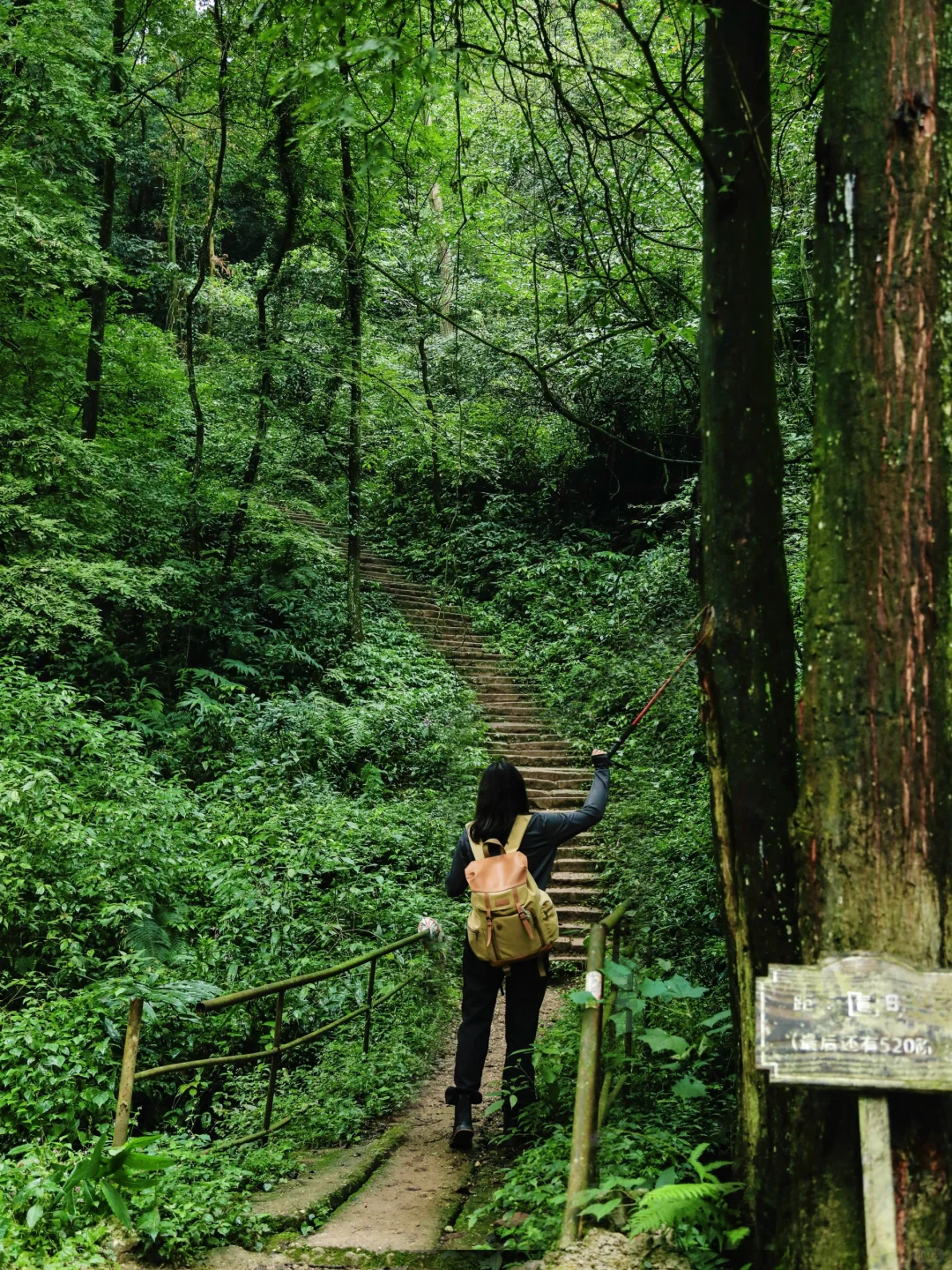 成都1h |🍃小众人少的山野徒步路线！