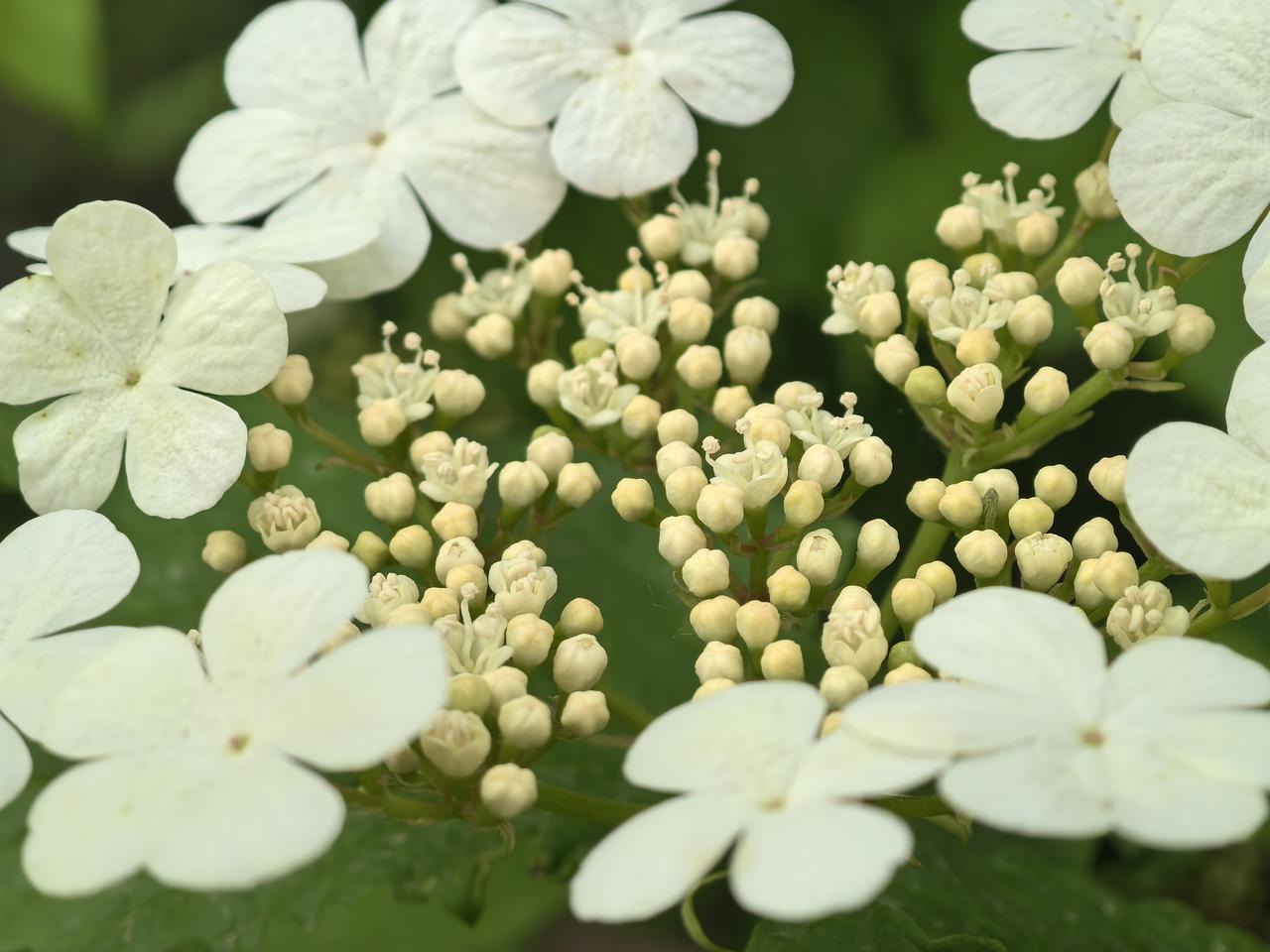 A truly strong person shines from within