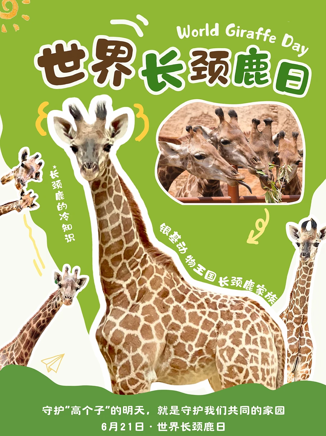 世界长颈鹿日，那些你不知道的长颈鹿冷知识