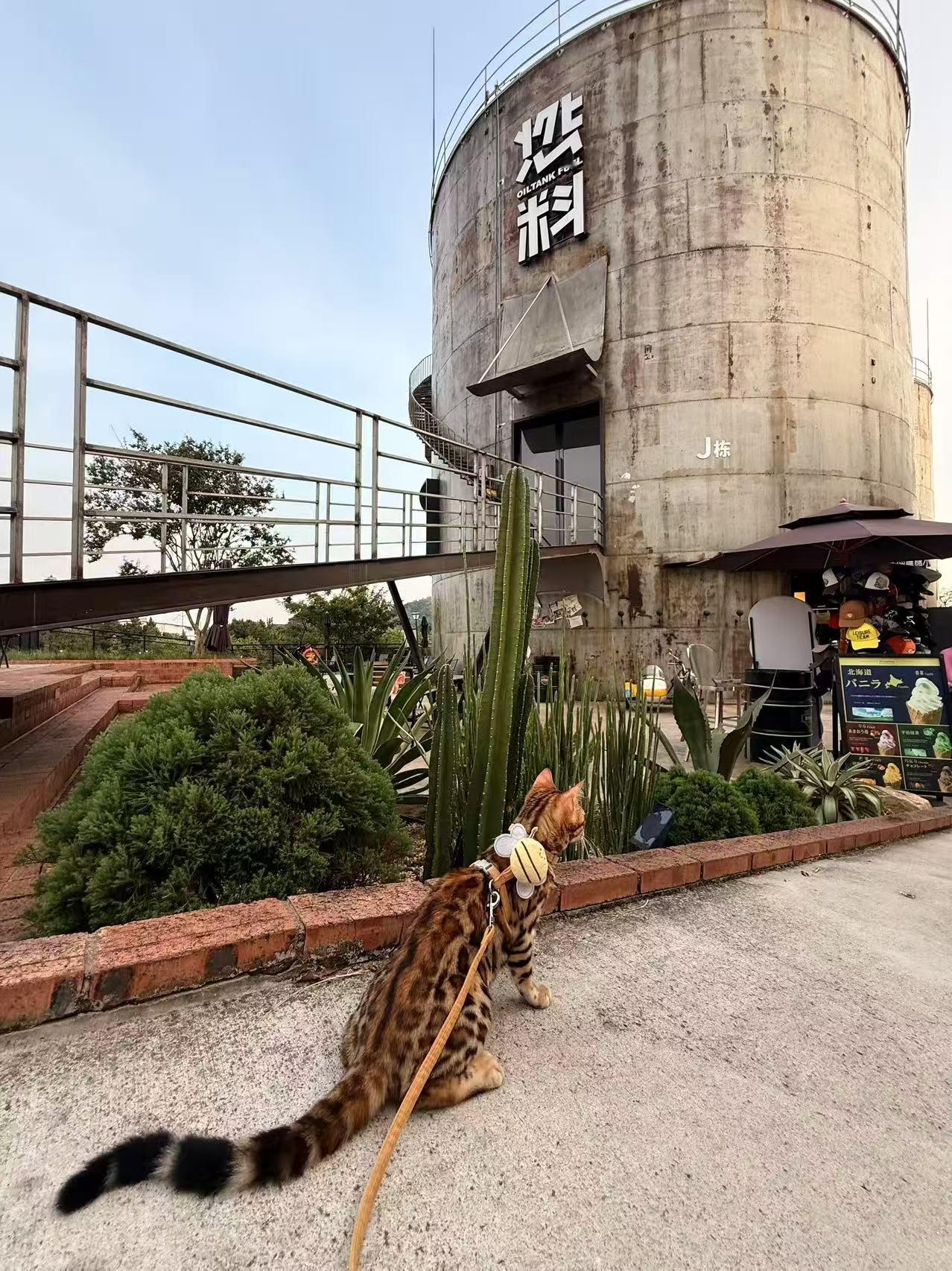 我姐上个月退休了，刚好50岁，她在一个工厂整整做了17年，交了15年养老保险。退