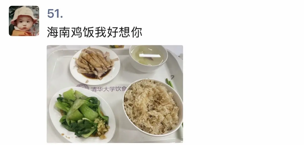 毕业最挂念的就是紫荆的海南鸡饭🥲🥲跑去海南吃的海南鸡饭都没有你好吃...