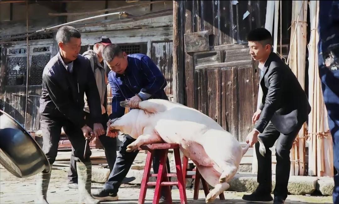 天塌了！云南砚山，48岁女子家庭困难，为了赚钱，她买了一头毛猪，宰了拉到村头卖肉