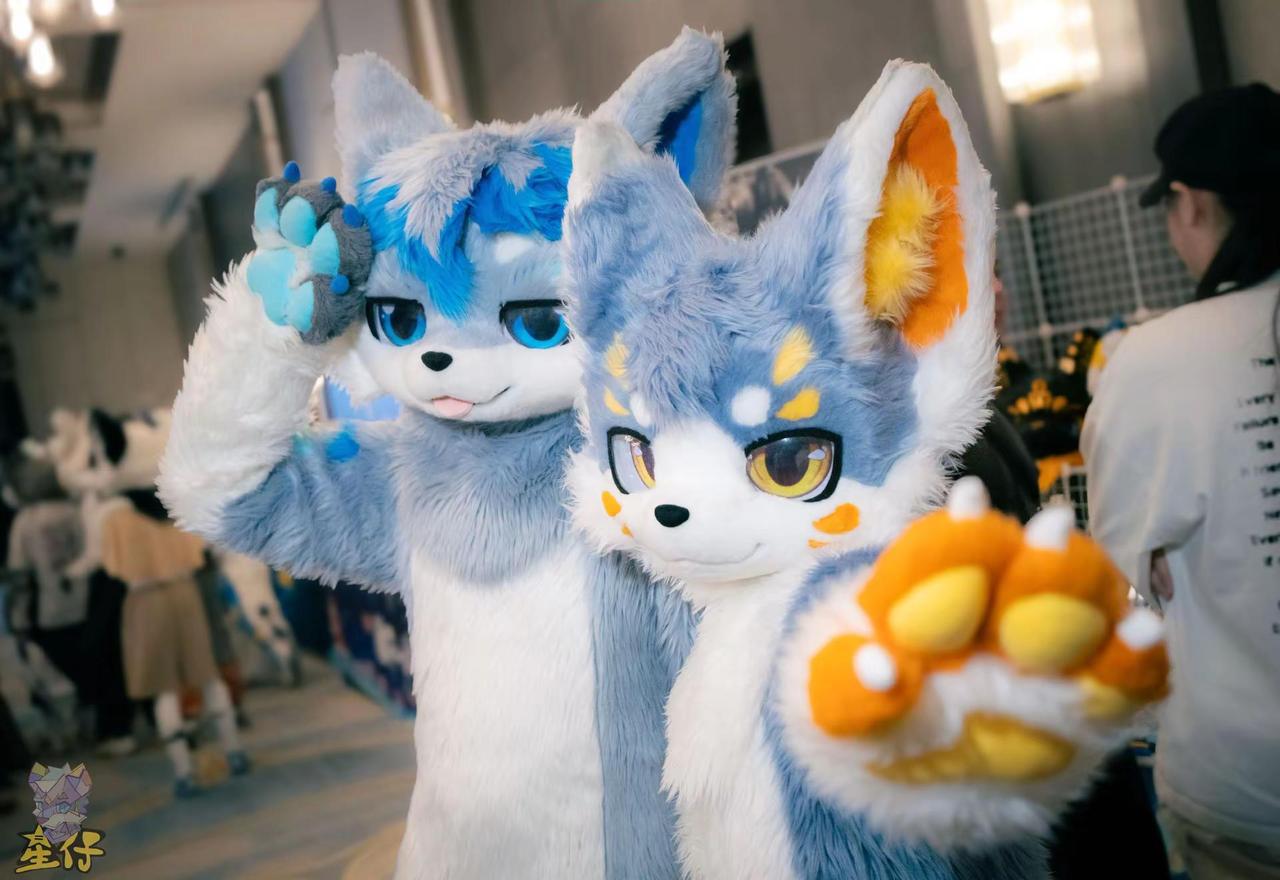 在兽潮时出毛的照片。furry fursuit 兽装