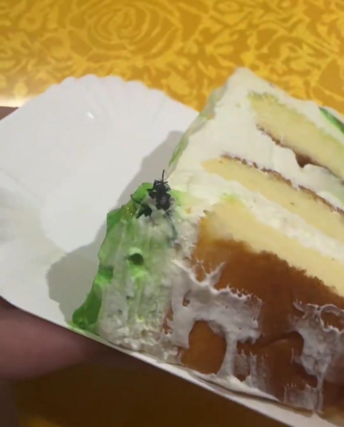 【玉林网友吃店铺的生日蛋糕吃出苍蝇】

9月25日，网友爆料称：