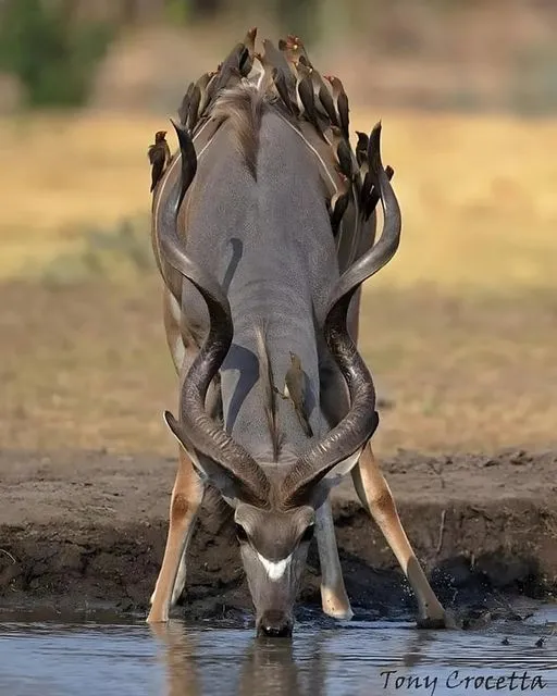 美图欣赏——大自然中的宁静瞬间