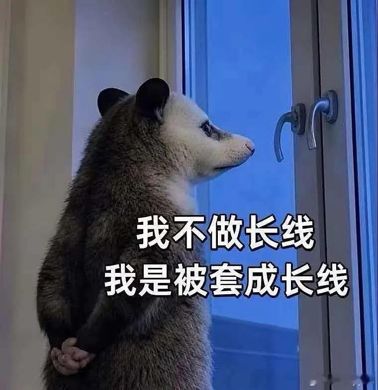 比惨大会开始，快来报道 