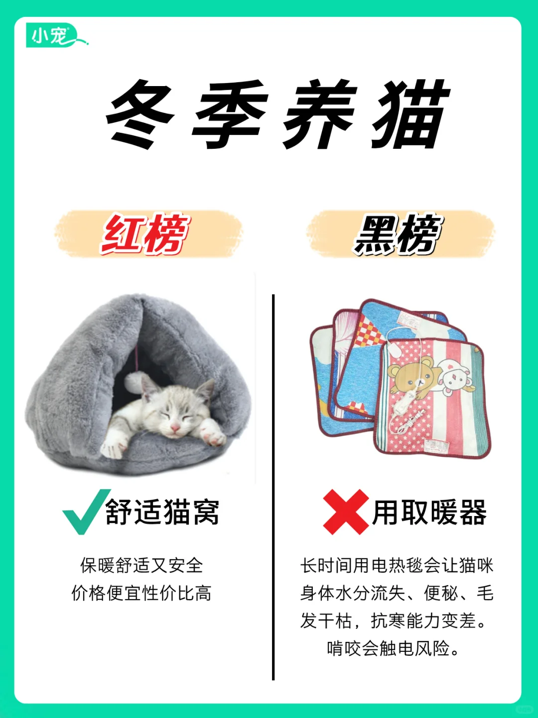 冬季养猫红黑榜‼️你一定要知道