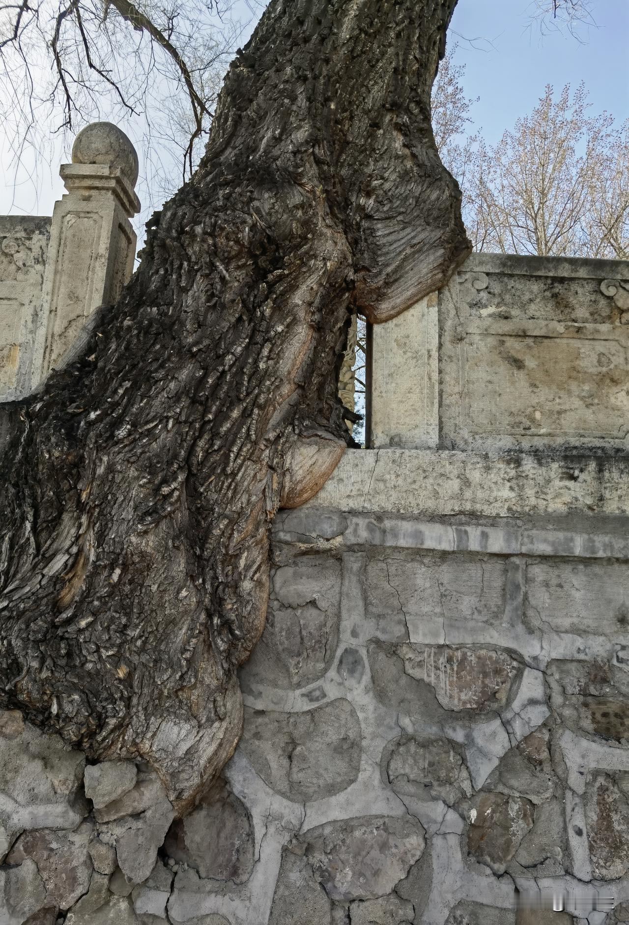 晋祠内有座奉圣寺，相传为唐朝尉迟恭的别墅。
尉迟恭，字敬德，山西朔州人，是凌烟阁