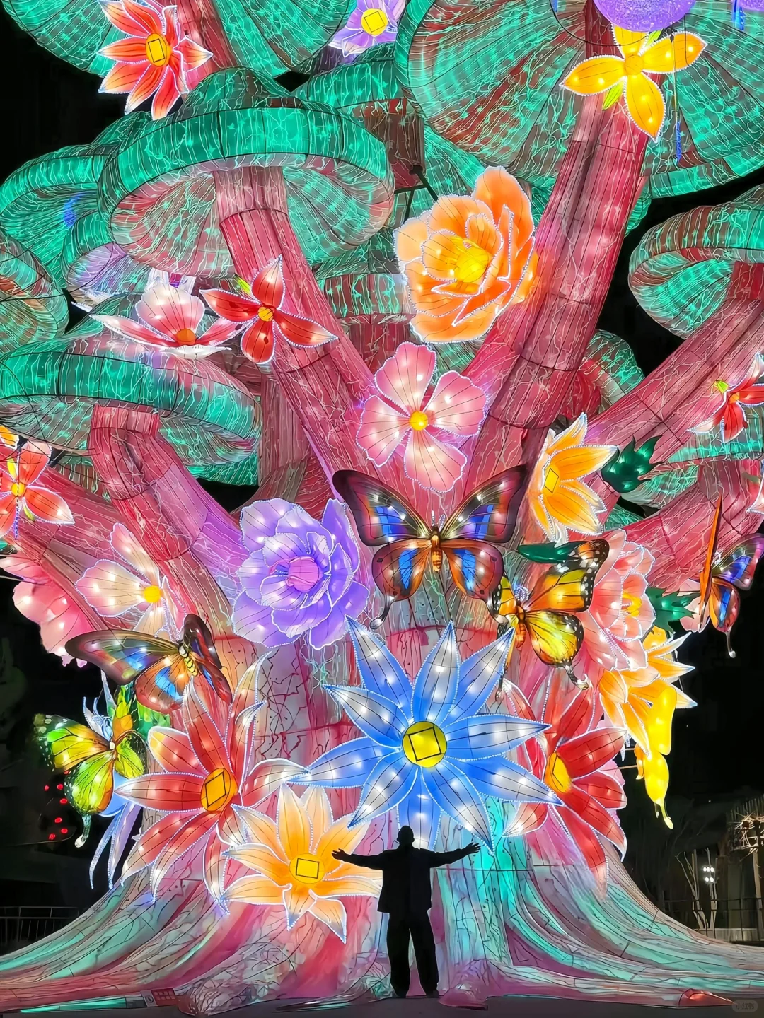 自贡非遗花灯搬到北京🏮刚回说点难听大实话