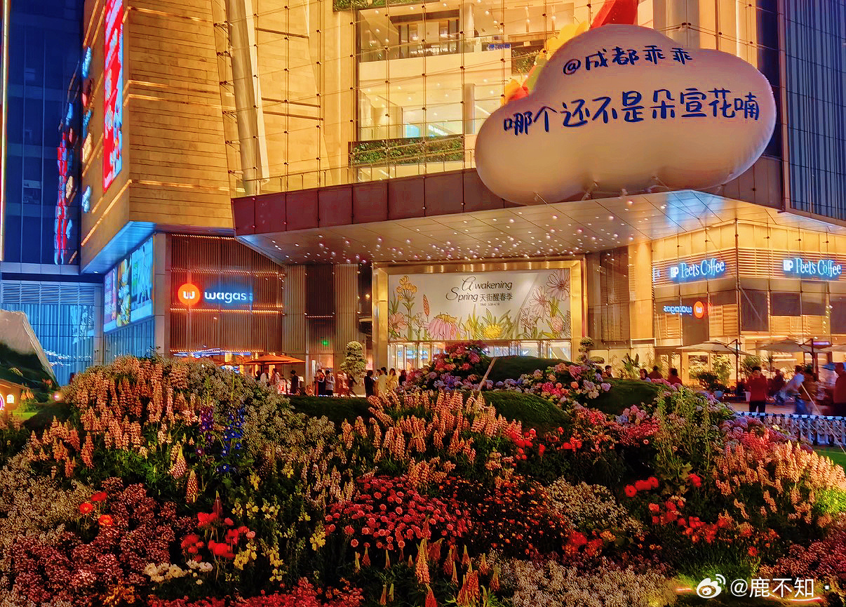 哪个还不是朵宣花喃🌸 